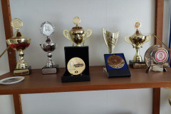 FIDE-Outstanding-Contribution-to-Social-chess-2025